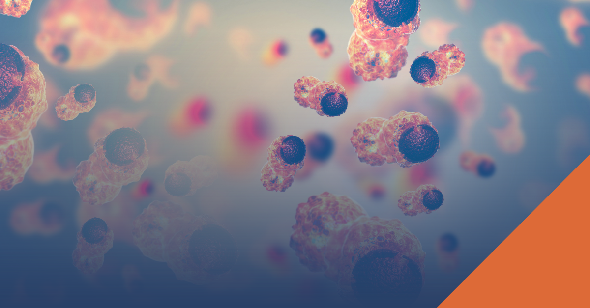 The Promise of Cancer Vaccines: A Vision of What Biotech Can Be ...